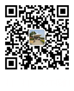 手機端打開網站